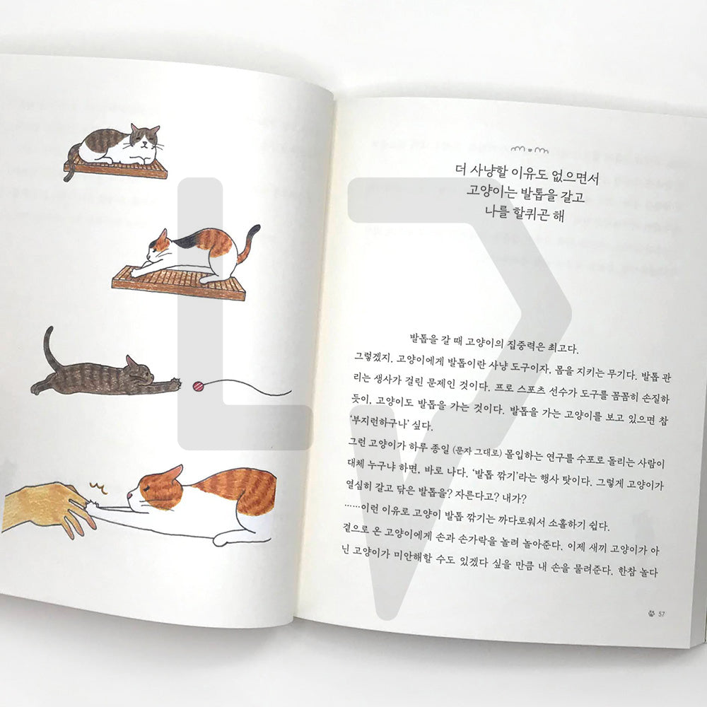 I want to go home where my cats await 고양이가 기다리는 집으로 가고 싶어 - Life Pattern Korea