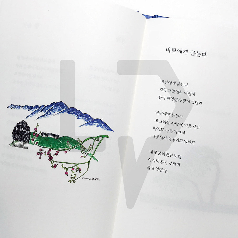 I see you like a flower 꽃을 보듯 너를 본다 - Life Pattern Korea