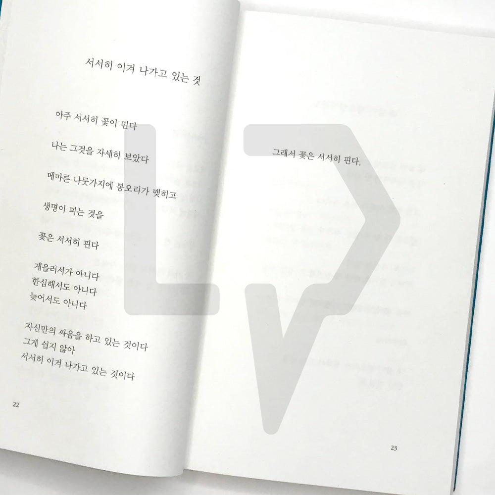 Giving consolation for every days, every moments 모든 날에 모든 순간에 위로를 보낸다 - Life Pattern Korea