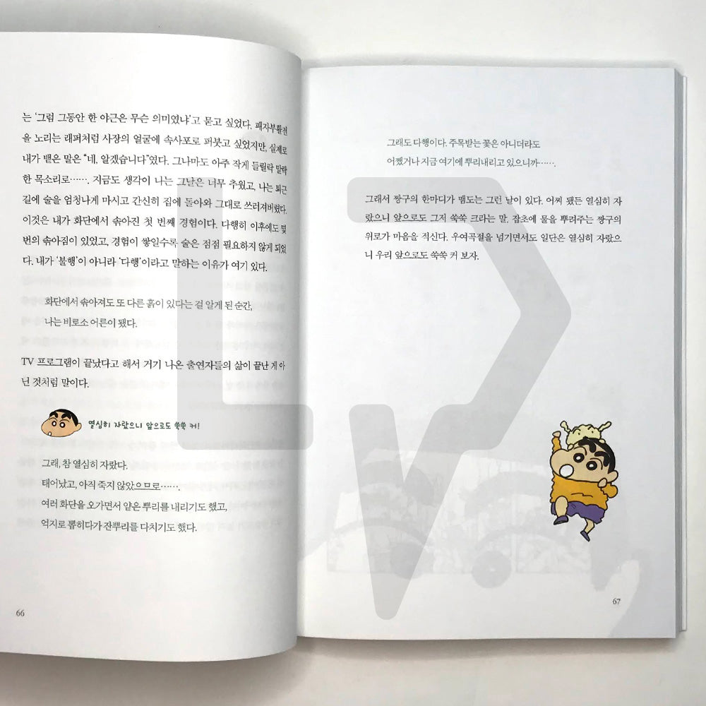 It is too late to be a grown adult 멀쩡한 어른 되긴 글렀군 - Life Pattern Korea
