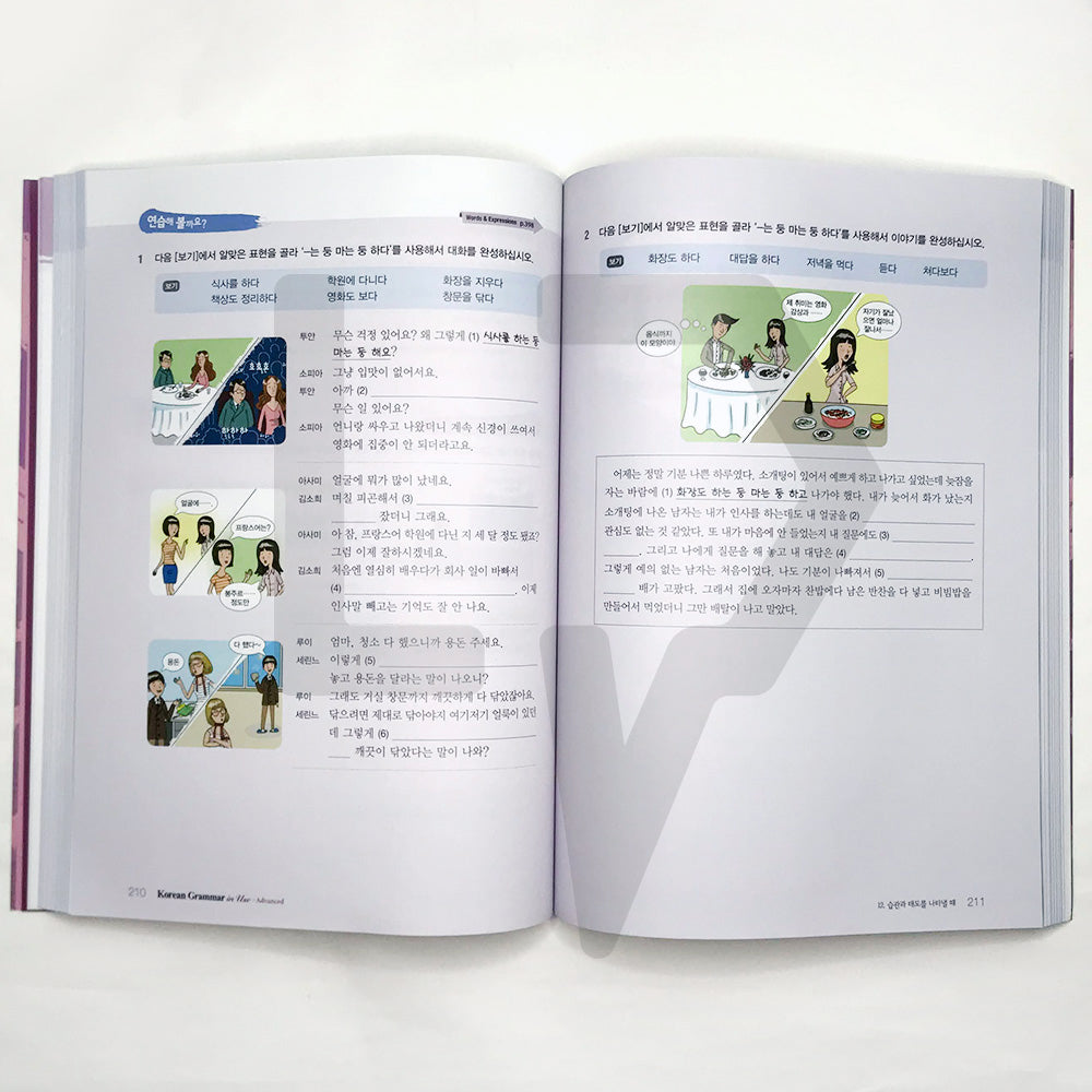 Korean Grammar in Use Advanced (English) - Life Pattern Korea