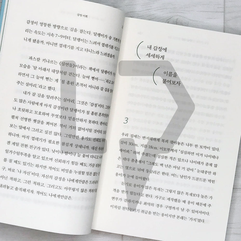 Emotion Vocabulary 감정 어휘 - Life Pattern Korea