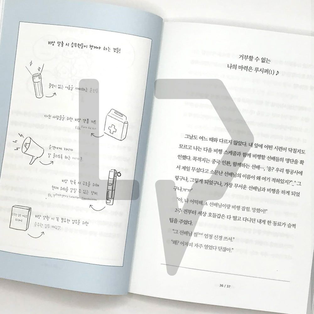How come, flight attendant 어쩌다, 승무원 - Life Pattern Korea