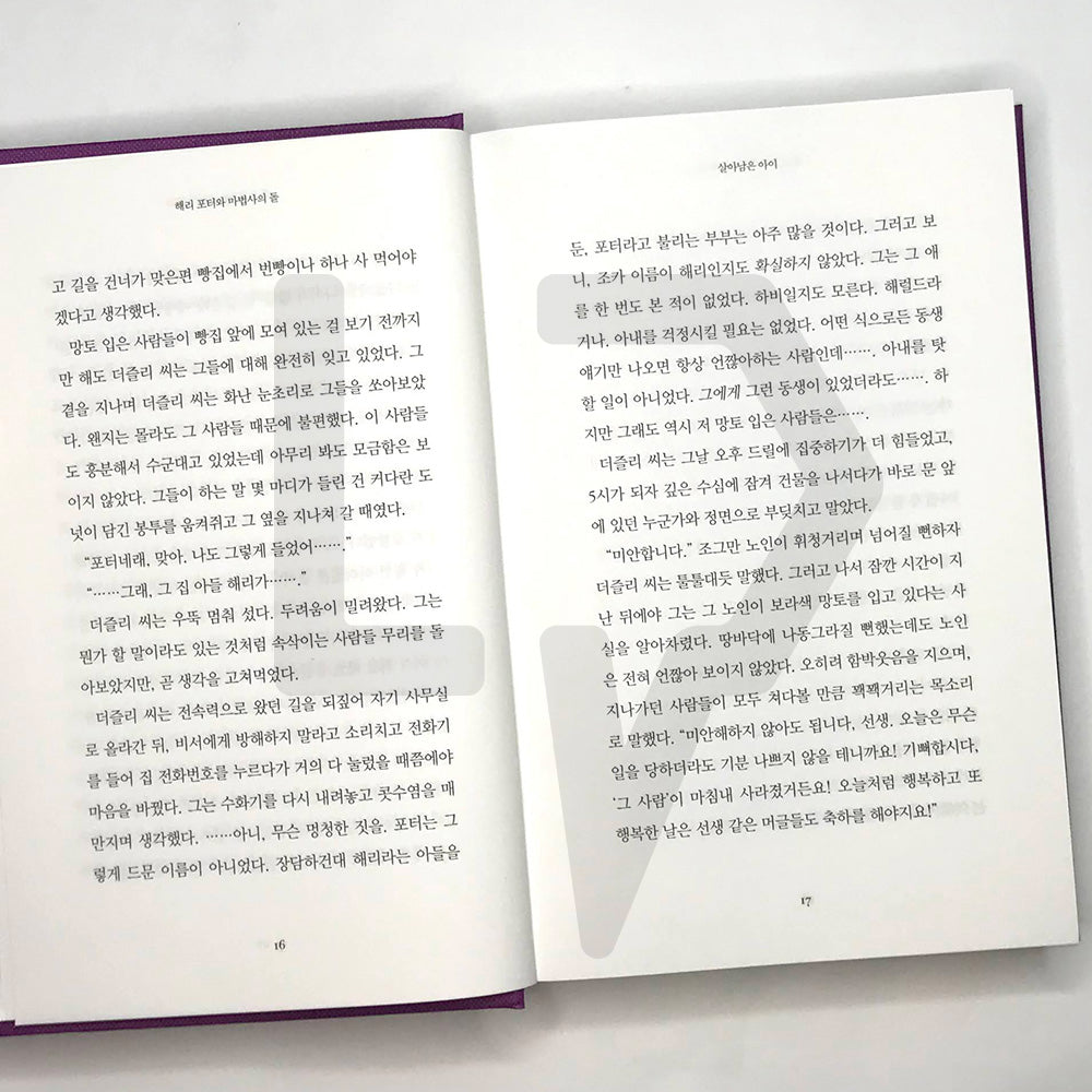 Harry Potter and the Sorcerer's Stone (20th Anniversary) 해리 포터와 마법사의 돌 (20주년 개정판)