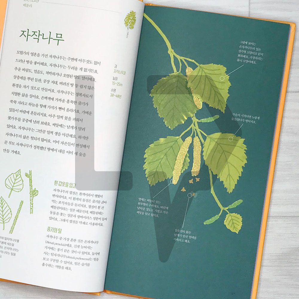 The Place of Trees (Arbres d'ici et d'ailleurs) 나무의 자리