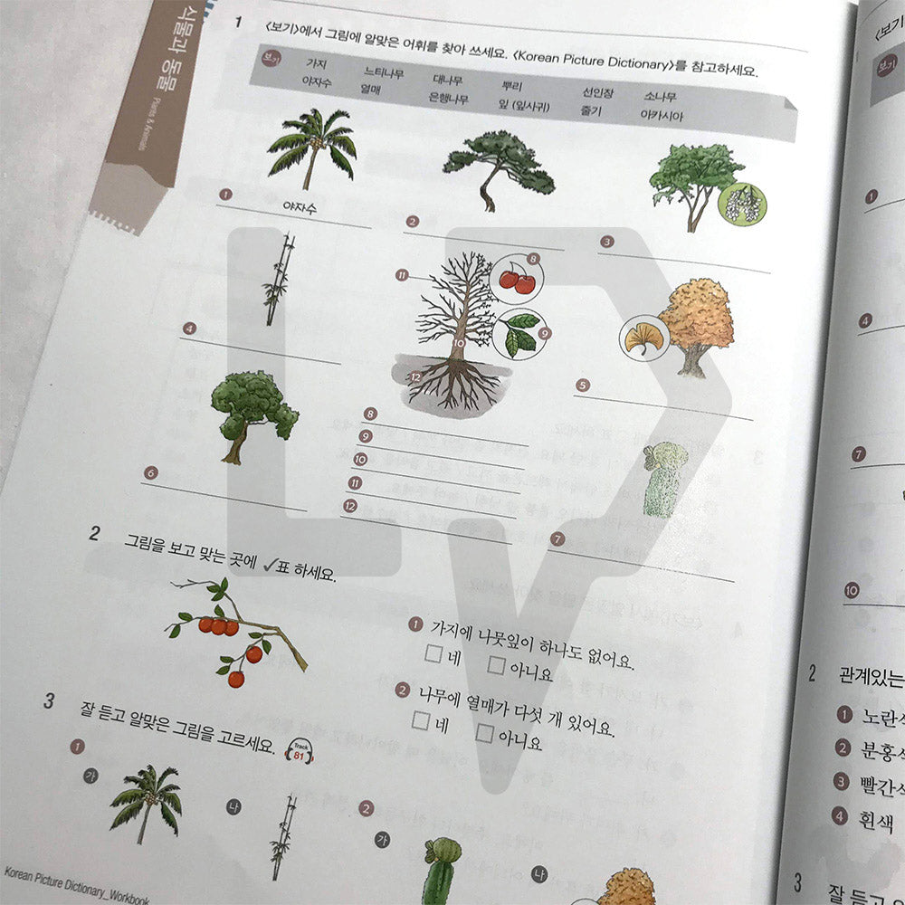 Korean Picture Dictionary Workbook - Life Pattern Korea