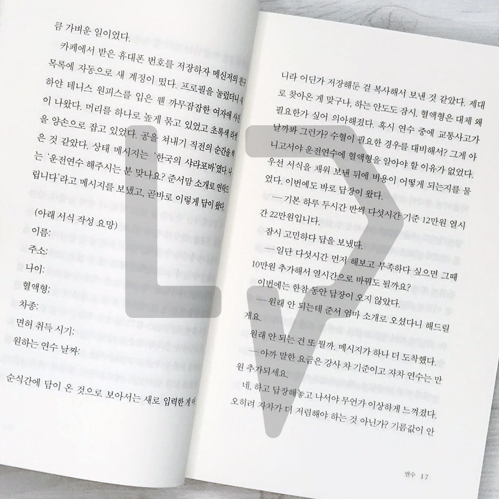 Driving Lessons 연수