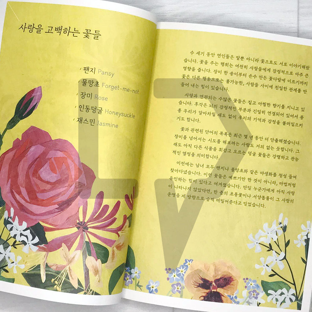 Floriography 꽃말의 탄생 - Life Pattern Korea