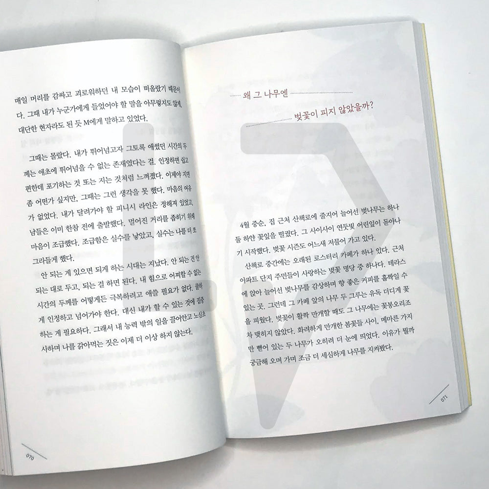 I want to live lightly like a sticky note 포스트잇처럼 가볍게 살고 싶어 - Life Pattern Korea