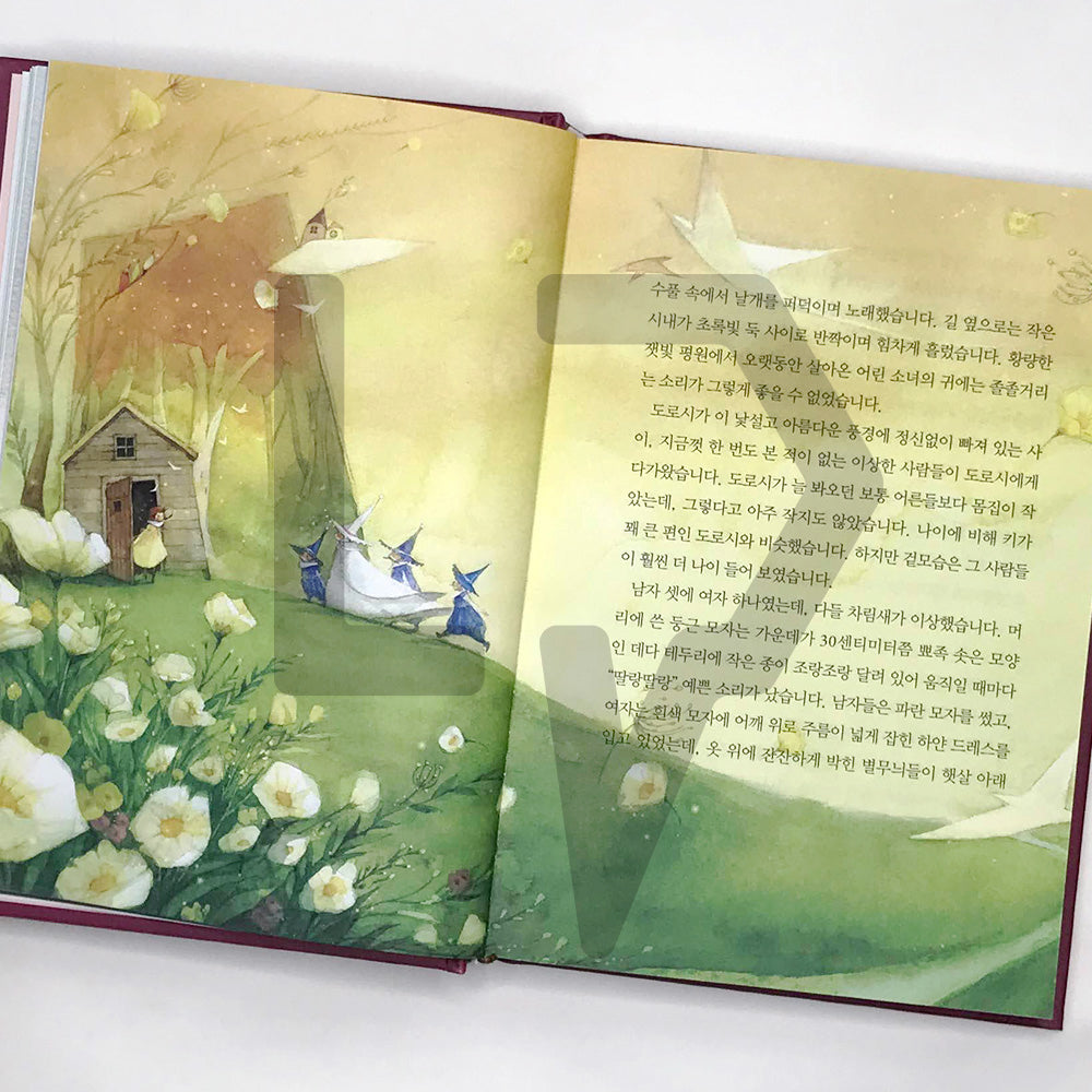 The Wonderful Wizard of Oz 오즈의 마법사 - Life Pattern Korea