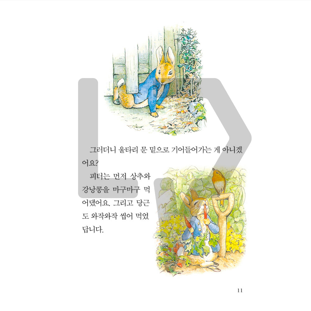 The Tale of Peter Rabbit by Beatrix Potter 피터 래빗 이야기 Vol. 1 - Life Pattern Korea