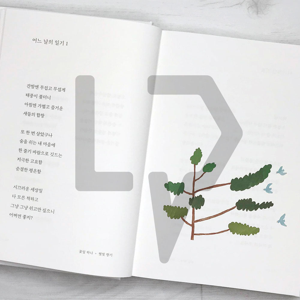 Like a petal 꽃잎 한 장처럼 - Life Pattern Korea