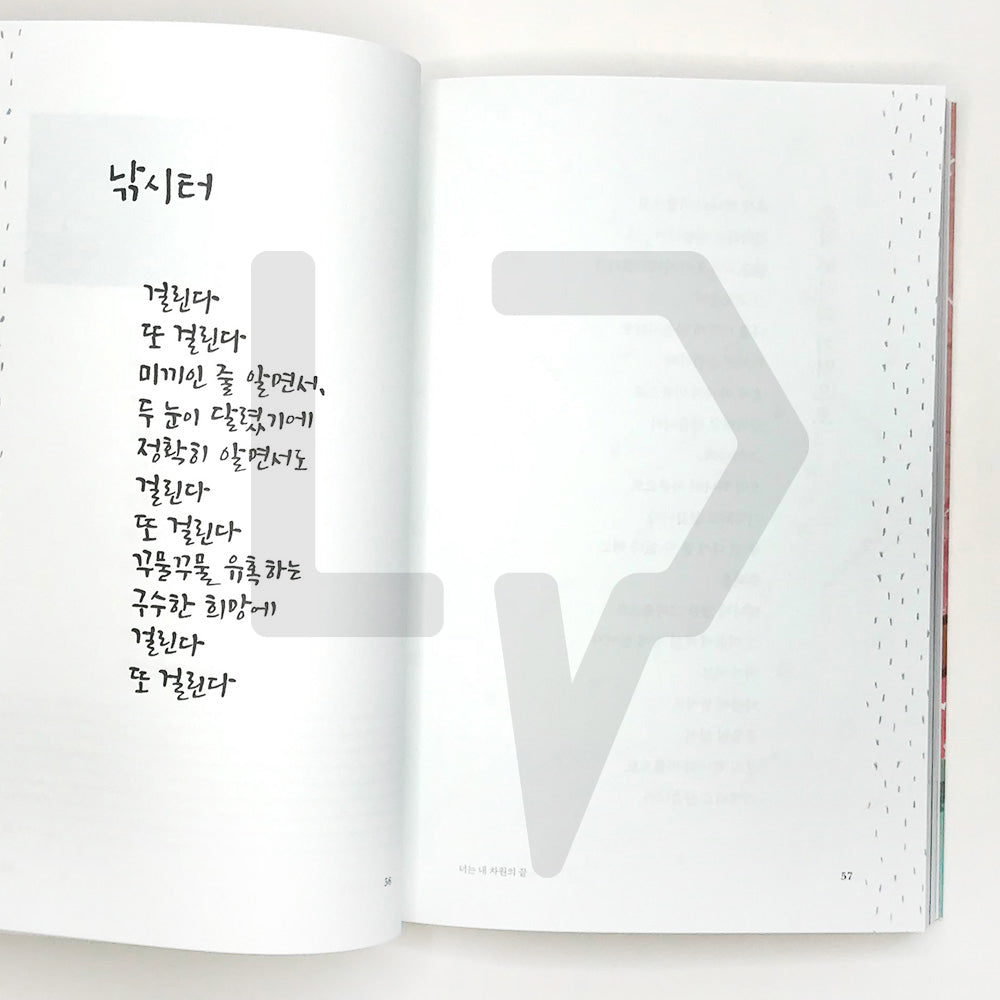 There is no one else like that 그런 사람 또 없습니다 - Life Pattern Korea