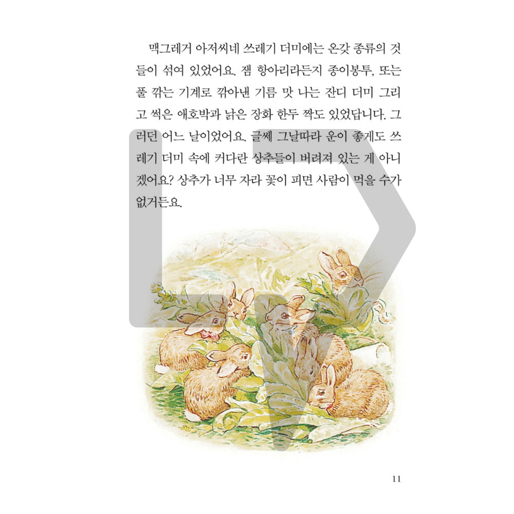 The Tale of Peter Rabbit by Beatrix Potter 피터 래빗 이야기 Vol. 2 - Life Pattern Korea