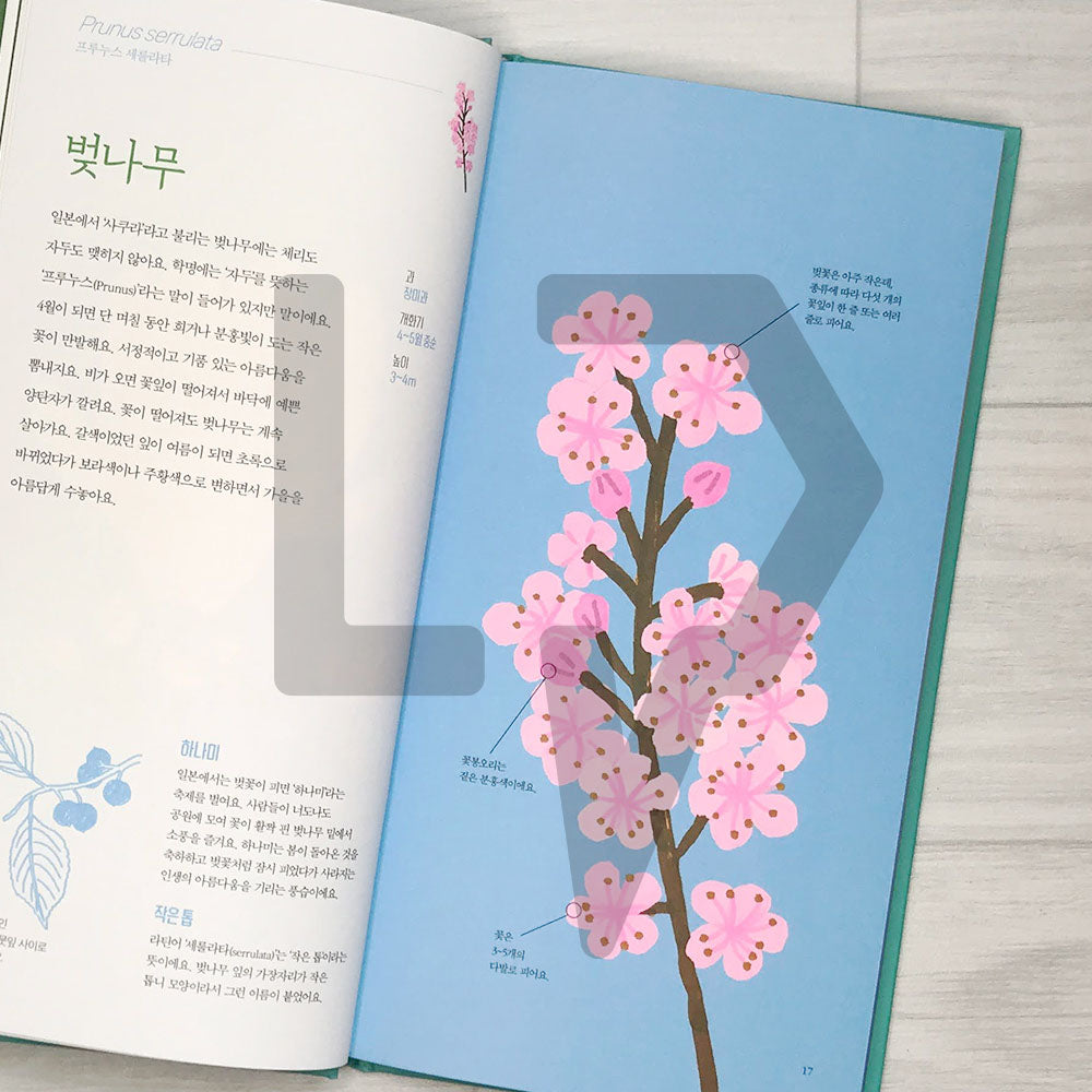 Seasonal Flowers (Fleurs de saison) 꽃의 계절