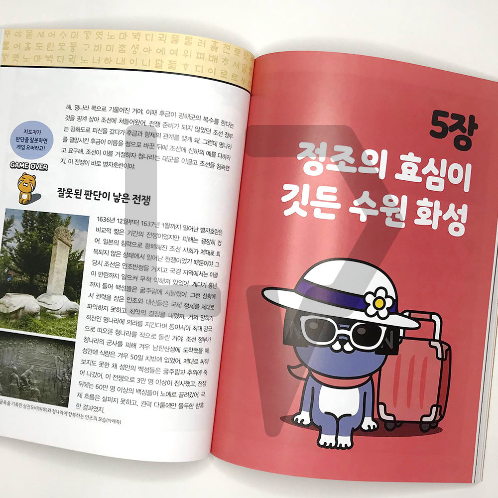 Go Go Kakao Friends 11: Korea 1 Go Go 카카오프렌즈 11 한국 1 - Life Pattern Korea