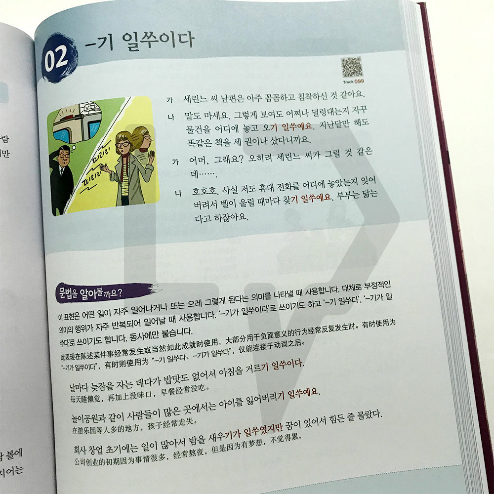 Korean Grammar in Use Advanced (Chinese) - Life Pattern Korea