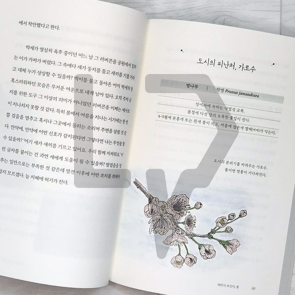 Four Seasons Memory Book 사계절 기억책 - Life Pattern Korea
