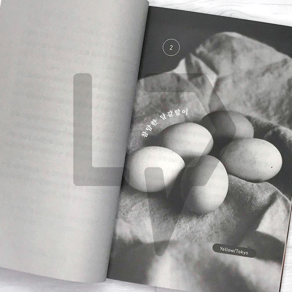 Cocoa on Thursdays 목요일에는 코코아를 - Life Pattern Korea