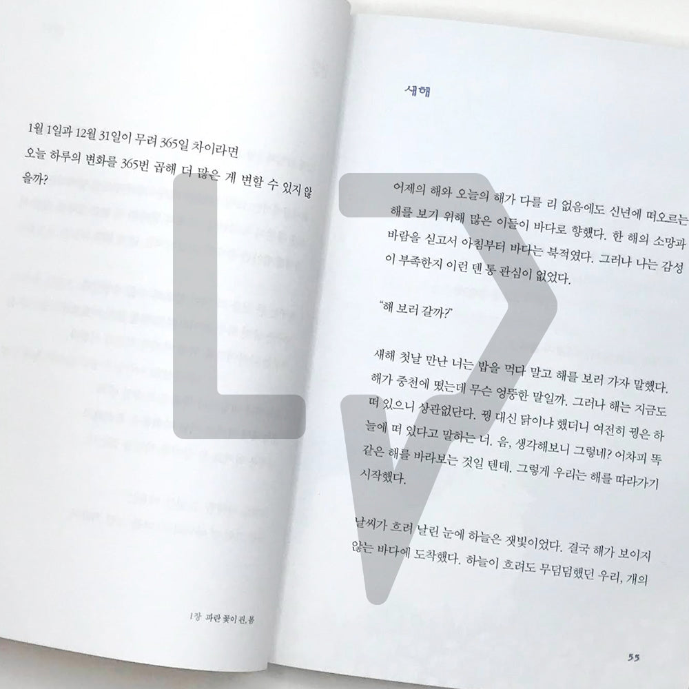 You have lived a fine life since you've made an effort also today 괜찮게 살아온 거야 오늘도 애쓴 너라서 - Life Pattern Korea