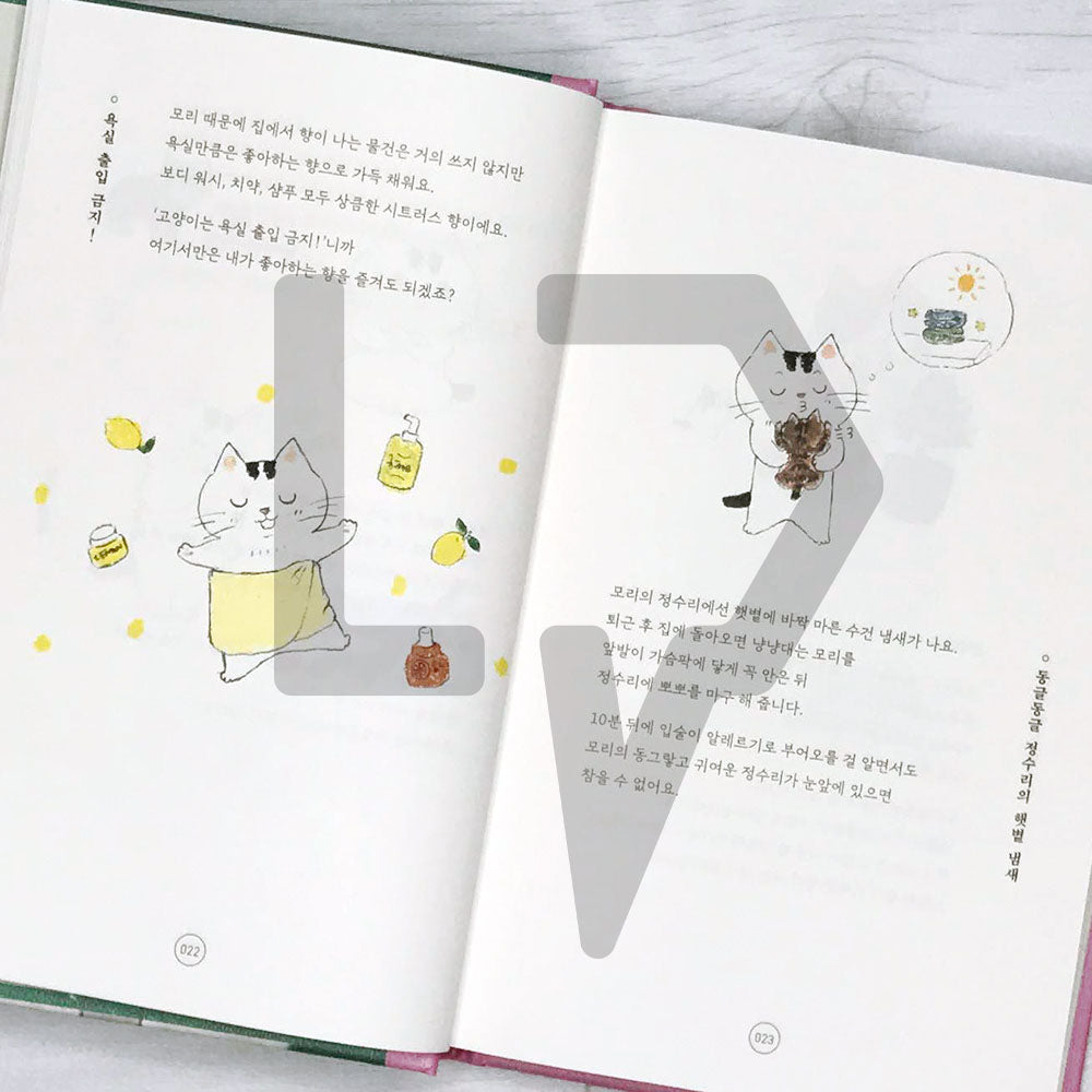 To tell you the charm of cats 고양이의 매력으로 말할 것 같으면 - Life Pattern Korea