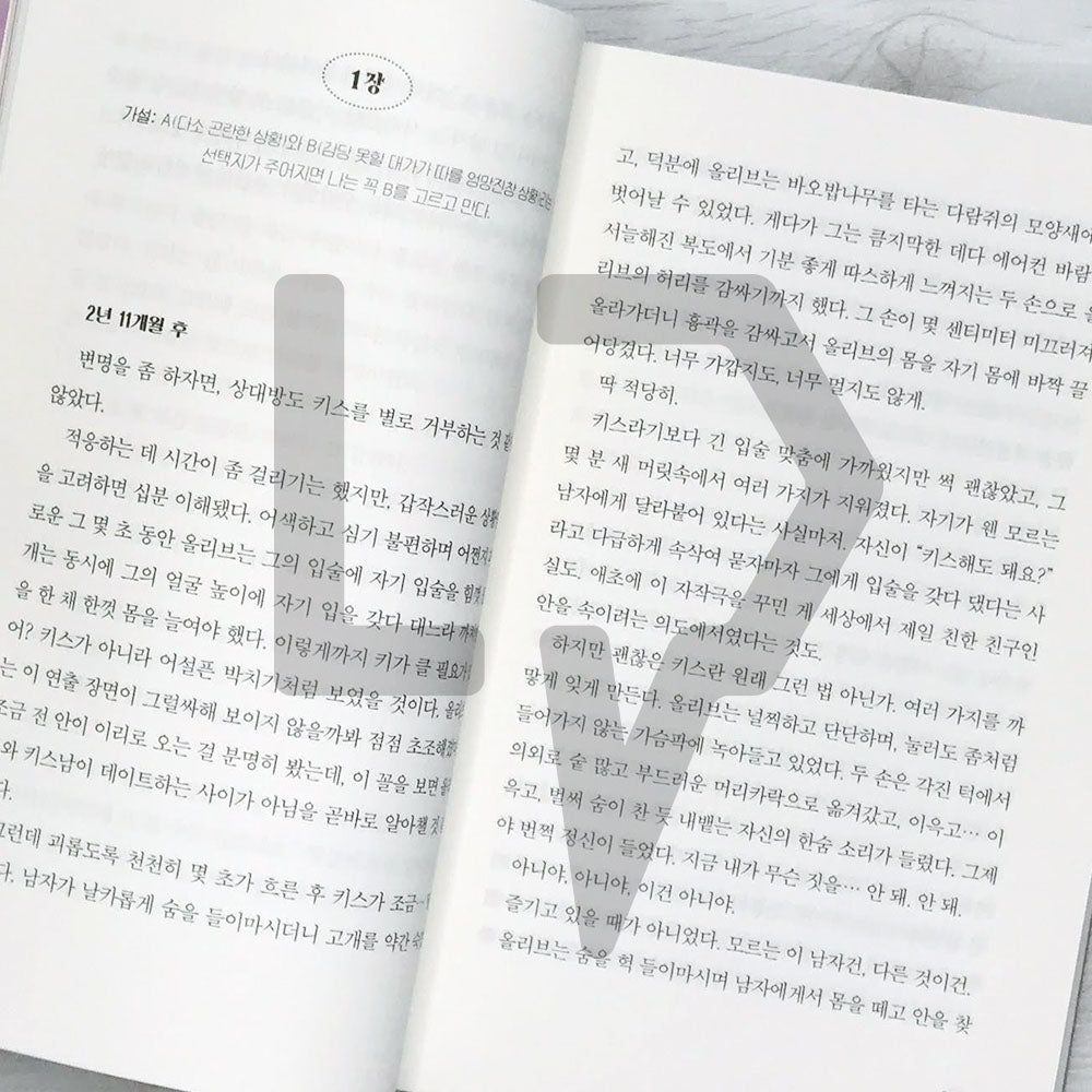 The Love Hypothesis 사랑의 가설