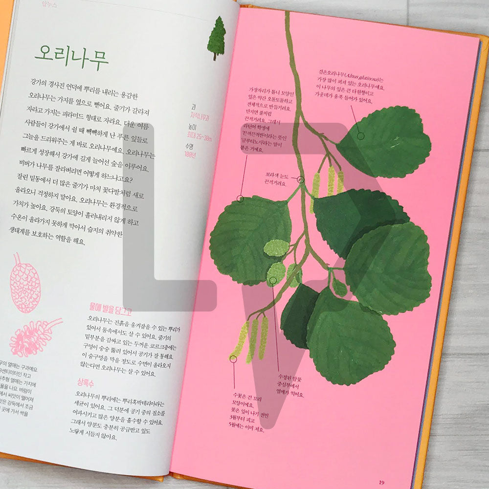 The Place of Trees (Arbres d'ici et d'ailleurs) 나무의 자리