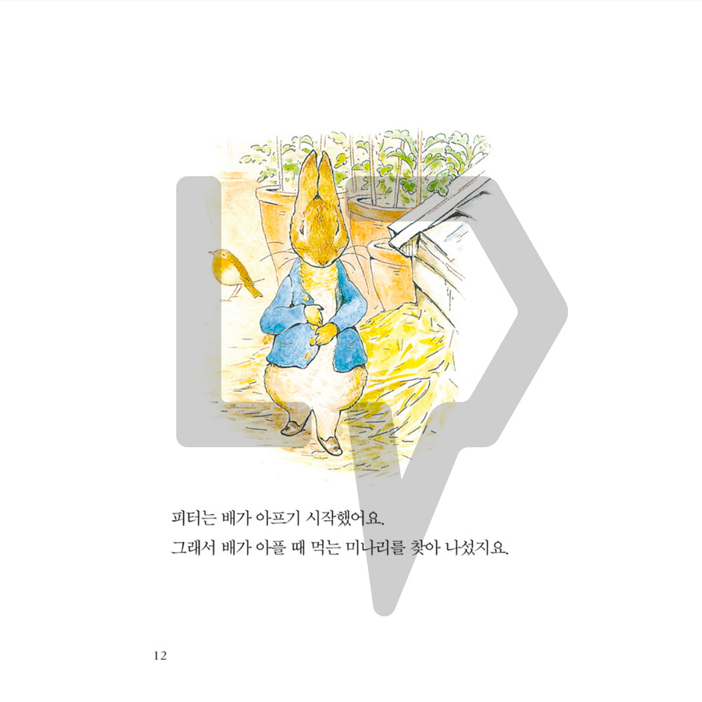 The Tale of Peter Rabbit by Beatrix Potter 피터 래빗 이야기 Vol. 1 - Life Pattern Korea