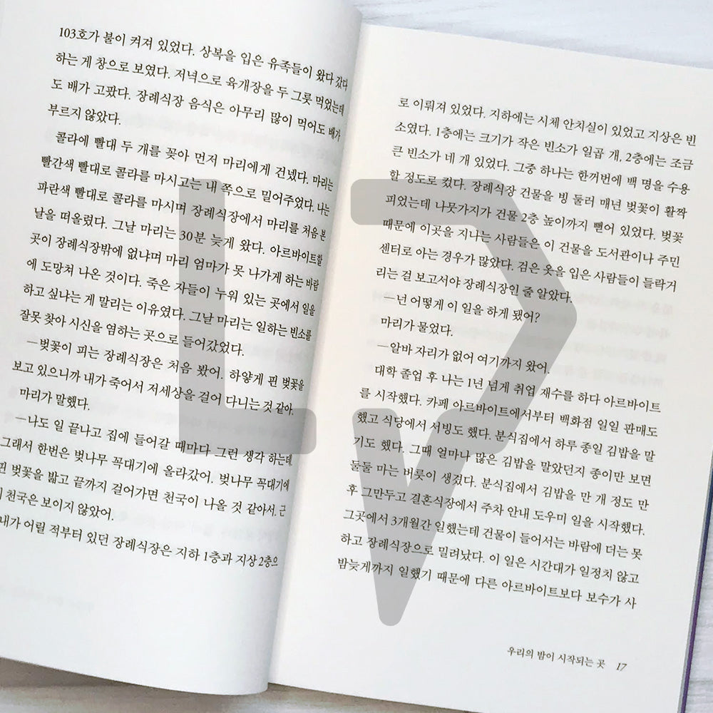 Where our night begins 우리의 밤이 시작되는 곳 - Life Pattern Korea