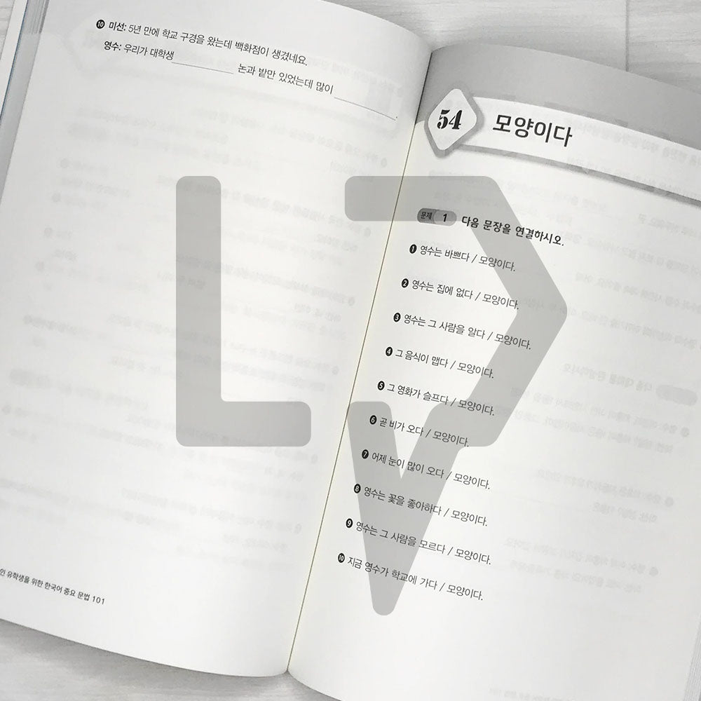 Important Korean Grammar 101 for International Students 외국인 유학생을 위한 한국어 중요문법 101