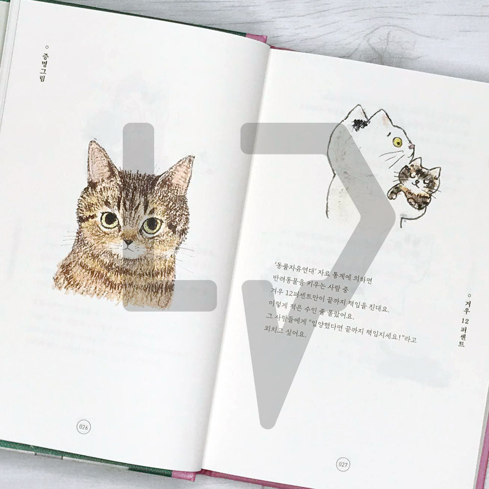 To tell you the charm of cats 고양이의 매력으로 말할 것 같으면 - Life Pattern Korea