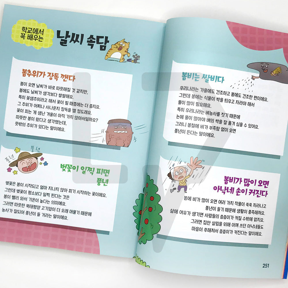 Children's Proverbs Solving in Cartoon Quiz 만화 퀴즈로 푸는 어린이 속담 - Life Pattern Korea