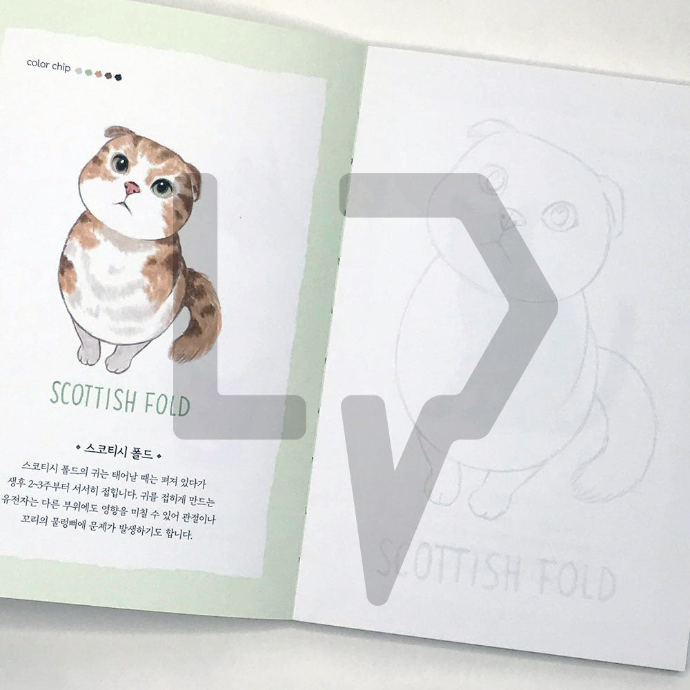 5-Minute Coloring Book Cats 5분 컬러링북 고양이 - Life Pattern Korea