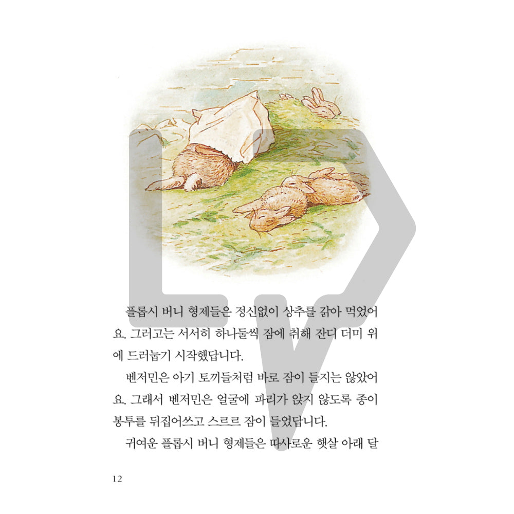 The Tale of Peter Rabbit by Beatrix Potter 피터 래빗 이야기 Vol. 2 - Life Pattern Korea