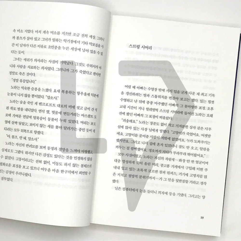 The Midnight Library 미드나잇 라이브러리 - Life Pattern Korea