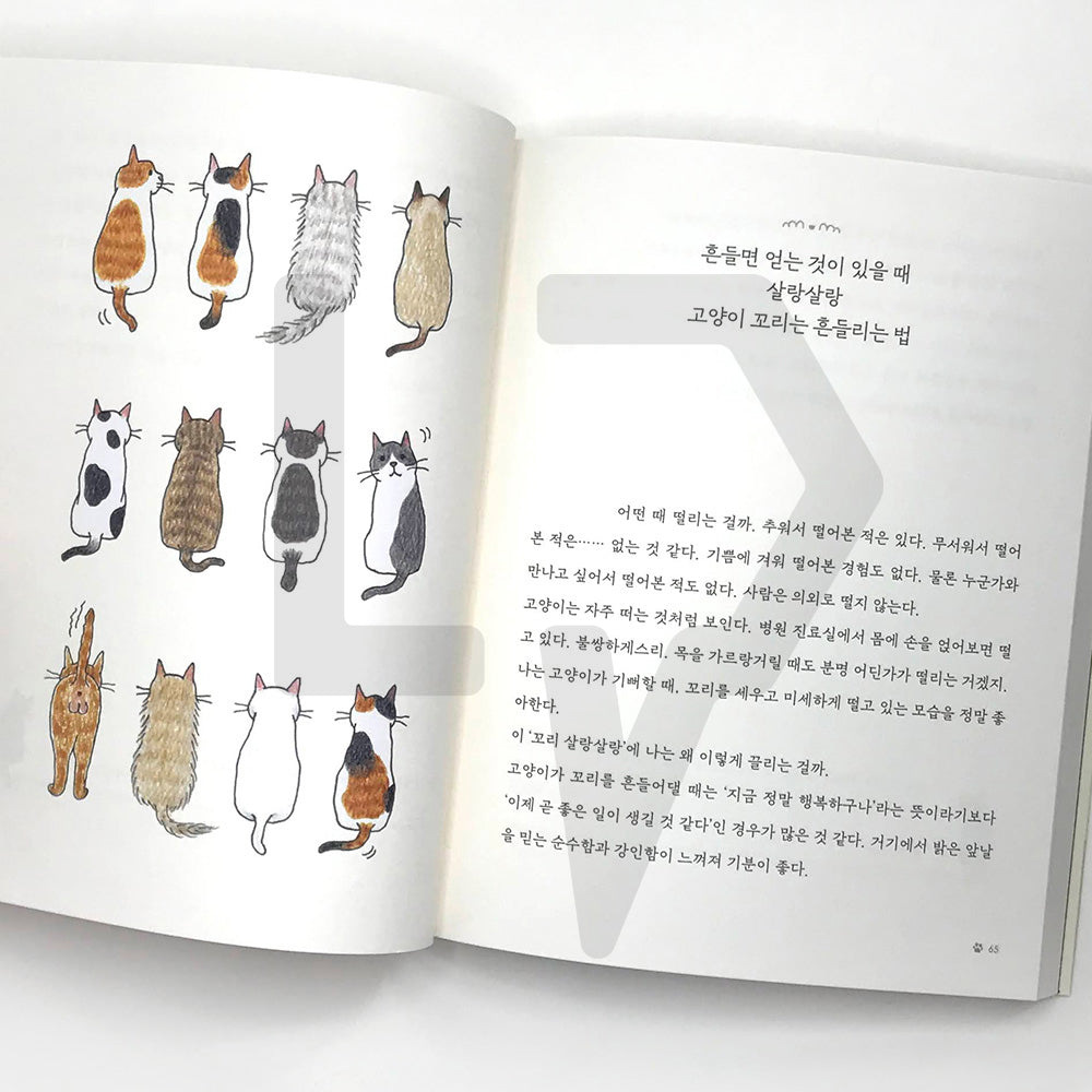 I want to go home where my cats await 고양이가 기다리는 집으로 가고 싶어 - Life Pattern Korea