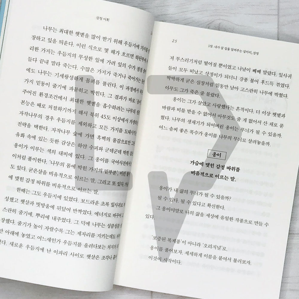 Emotion Vocabulary 감정 어휘 - Life Pattern Korea