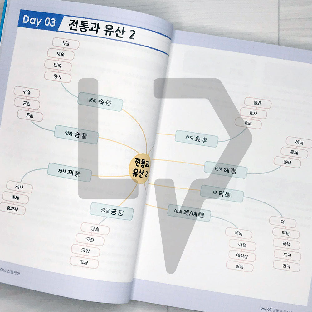 Mind Map Sino-Korean Words 2300 마인드맵으로 배우는 한자어 2300 - Life Pattern Korea