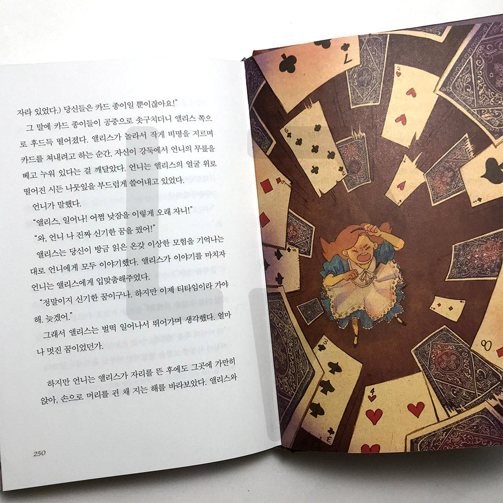 Alice in Wonderland 이상한 나라의 앨리스 - Life Pattern Korea
