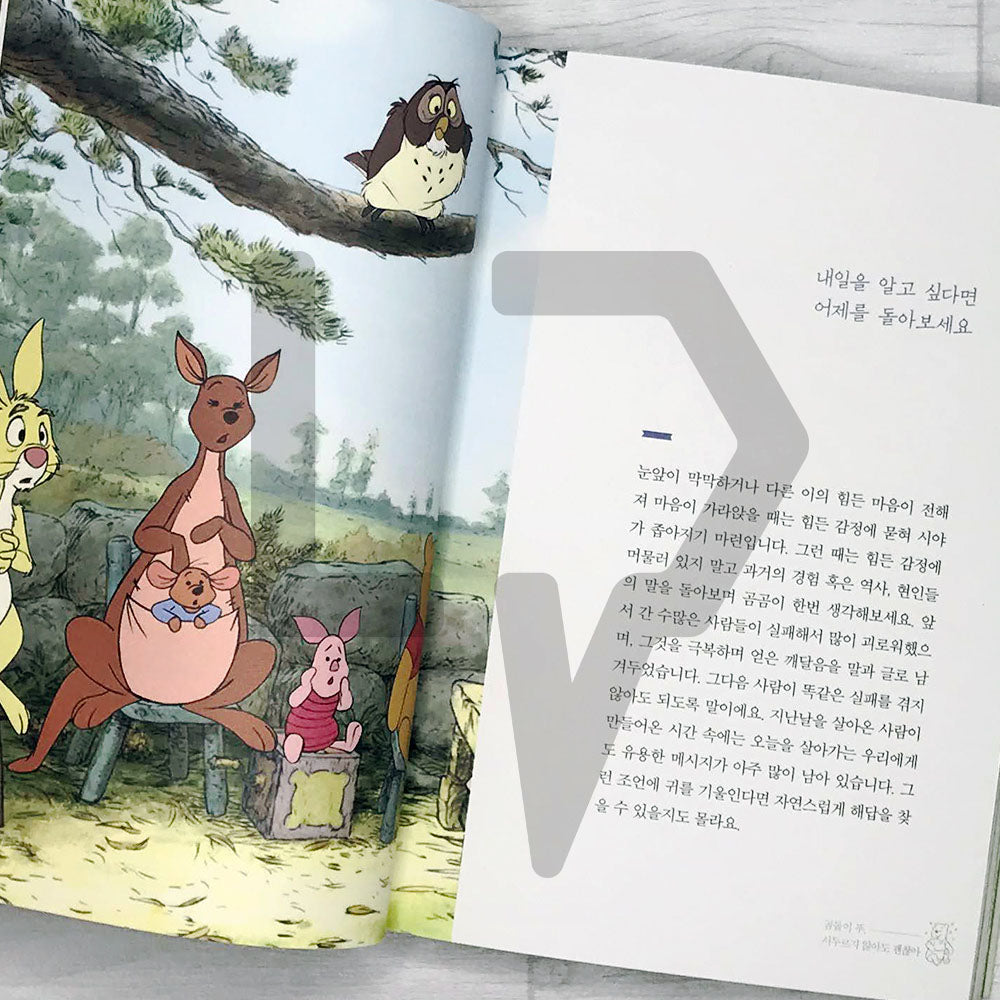 Winnie the Pooh, It's Okay to Not Hurry 곰돌이 푸, 서두르지 않아도 괜찮아 - Life Pattern Korea