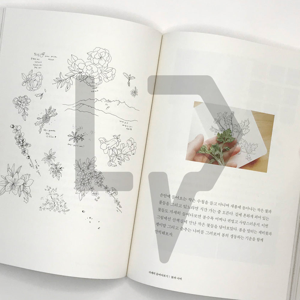 Modern Minhwa (Korean Folk Art) Class 모던민화 수업 - Life Pattern Korea