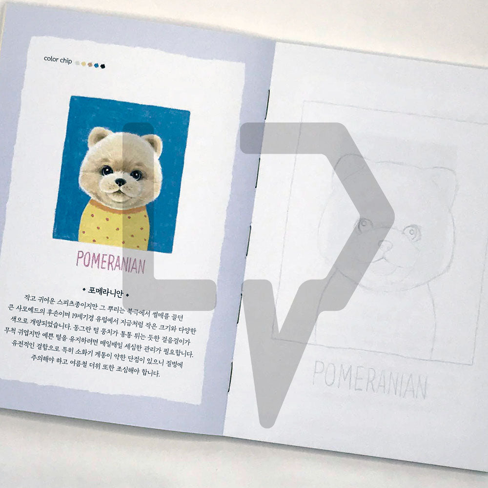 5-Minute Coloring Book Dogs 5분 컬러링북 강아지 - Life Pattern Korea