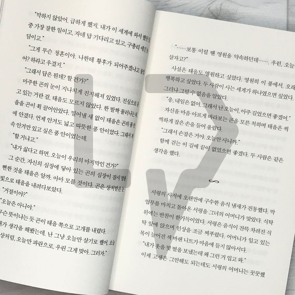 The King: Eternal Monarch 더 킹 영원의 군주 Vol. 2