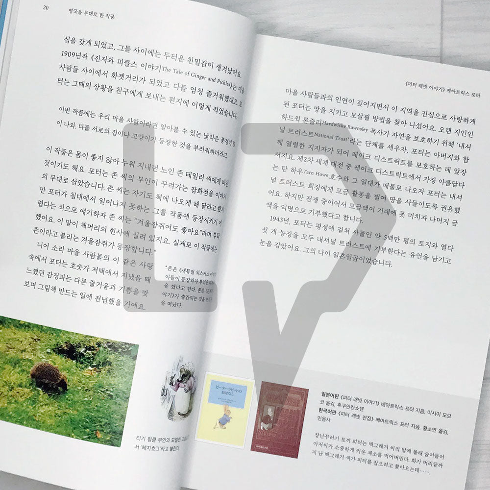 A 40-year journey around the world's masterpiece fairy tales 세계 명작 동화를 둘러싼 40년의 여행 - Life Pattern Korea