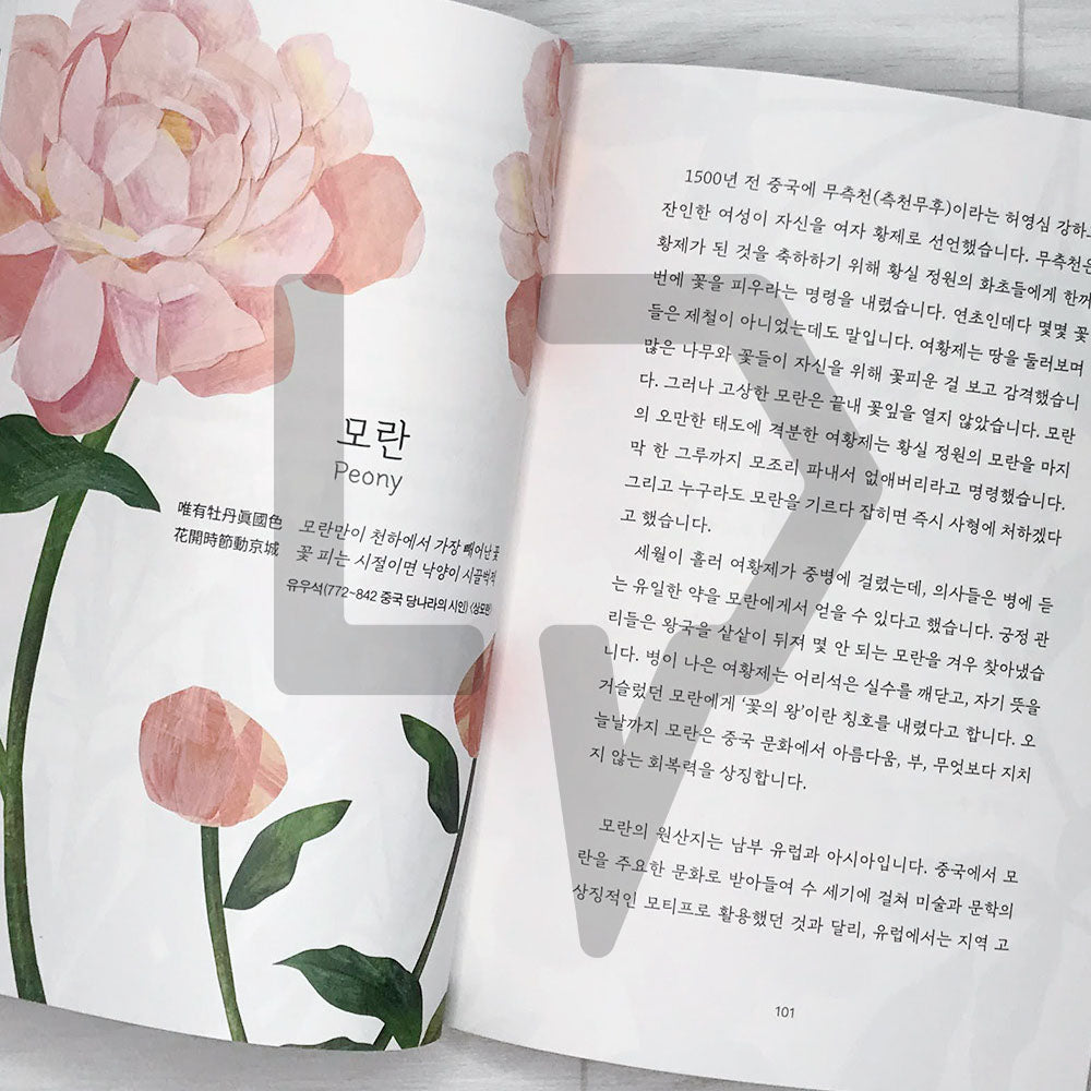 Floriography 꽃말의 탄생 - Life Pattern Korea