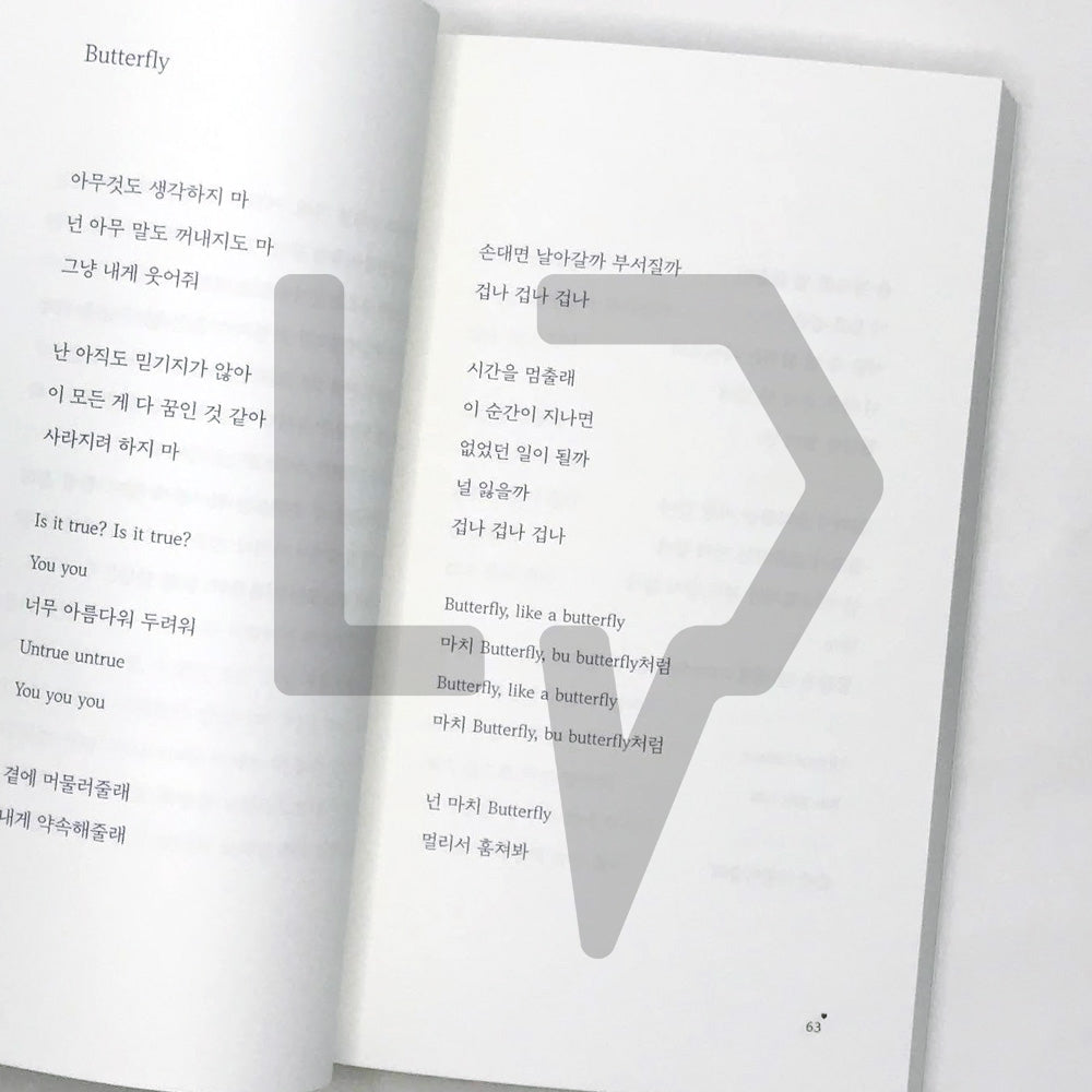A Poem for Small Things - BTS' Songs Prose by Na Tae-joo 작은 것들을 위한 시 - Life Pattern Korea