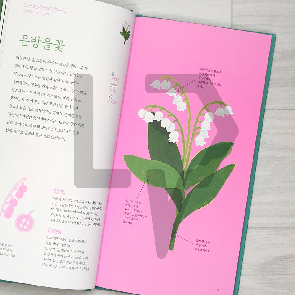 Seasonal Flowers (Fleurs de saison) 꽃의 계절