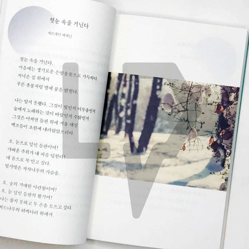 Write your name on the breath of dawn 새벽 입김 위에 네 이름을 쓴다 - Life Pattern Korea