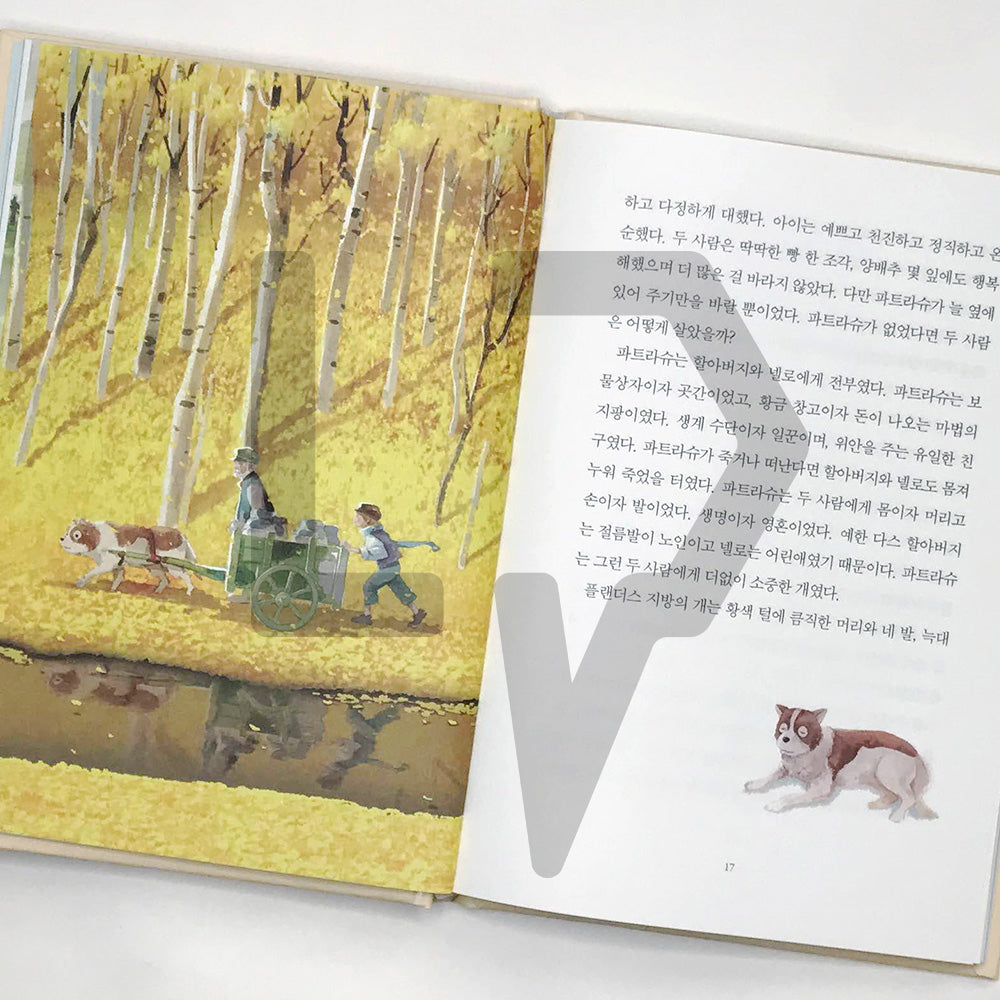 A Dog of Flanders 플랜더스의 개 - Life Pattern Korea