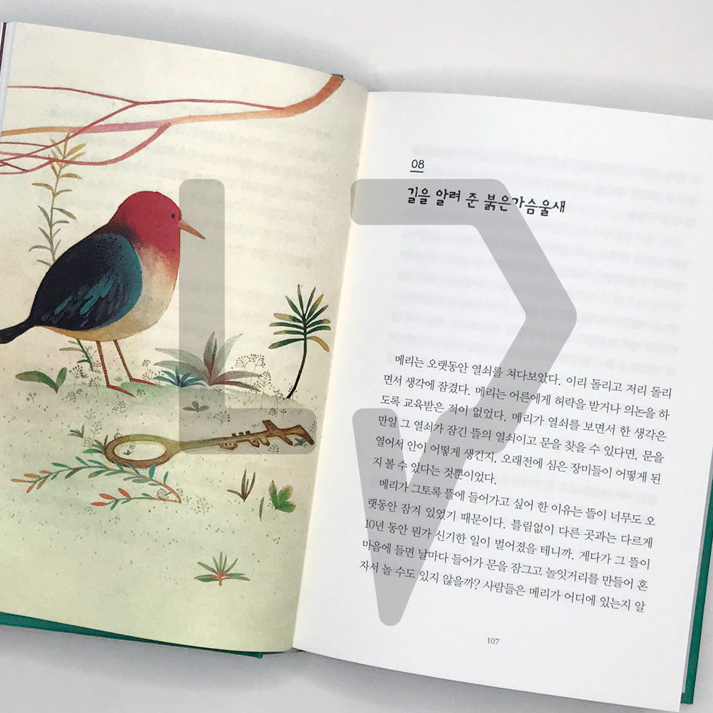 The Secret Garden 비밀의 화원 - Life Pattern Korea